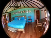 Top Bullet Tree Falls