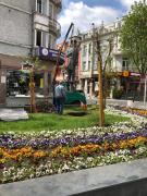 Top Varna City