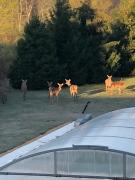 Top Cléré-les-Pins