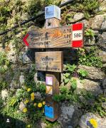 Top Corniglia