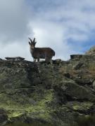 Top Arenas de San Pedro