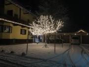 Top Seefeld in Tirol
