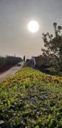 Top Novigrad Istria