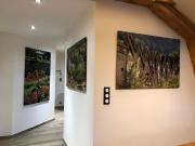 Top Husseren-Wesserling