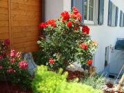 Top Kressbronn am Bodensee