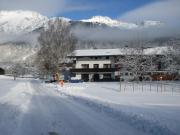 Top Wildermieming