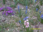 Top Białowieża Top Białowieża