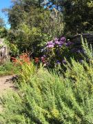 Top Ensenada Top Ensenada