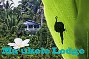 Maukele Lodge
