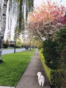 Top Vancouver