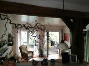 Elbhangzimmer Dresden