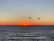 Top Póvoa de Varzim