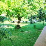 Top San Antonio de Areco