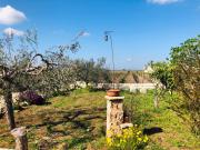 Top San Pancrazio Salentino