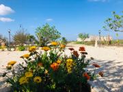 Top San Pancrazio Salentino