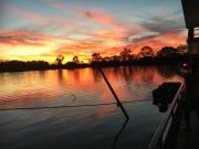 Top Renmark