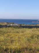 Top Naousa Top Naousa