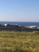 Top Naousa Top Naousa