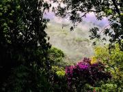 Top Campos do Jordão