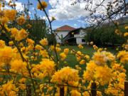 Top Tetovo