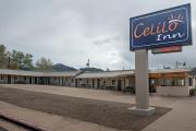 Top Williams