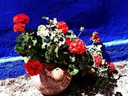 Top Villafranca de los Caballeros