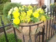 Top Stratford-upon-Avon