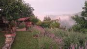 Top Paroldo