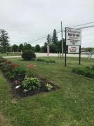 Top Wiarton Top Wiarton
