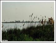 Top Sulina