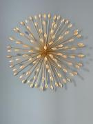 Garibaldi 19 Garibaldi 19