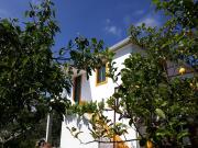 Top Vila de Rei Top Vila de Rei