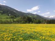 Gästeheim Pötscher