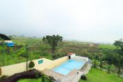 Top Mojokerto