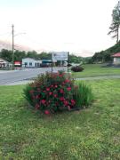 Top Ellijay