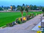 Top Phetchaburi