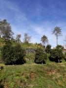 Top Levanto