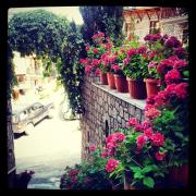 Top Metsovo Top Metsovo