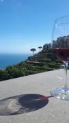 Top Ravello