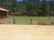 Top Caldas de São Jorge Top Caldas de São Jorge