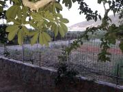 Top Sitia