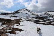 Top Loch Morlich