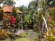 Top Ubud Top Ubud