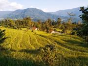 Top Kalimpong