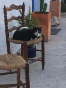 Top Níjar