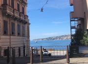 Jungle Suite by the seaside