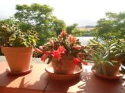 Top Porto Potenza Picena