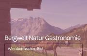Top Innertkirchen