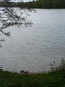 Top Borzestowska Huta