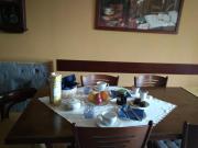 Top Canino Top Canino